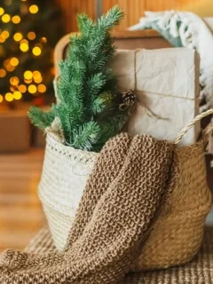 Holiday Decorating Trends 2025: Find the Latest Styles - Cover Image