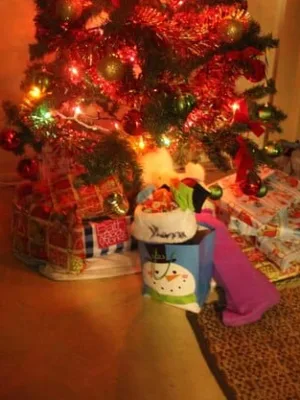 Holiday Shopping for Charity: Maximize Tax Deductions by Dec 31st - Cover Image