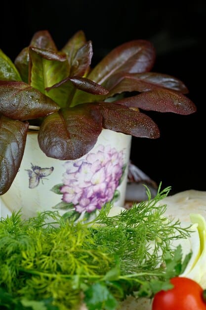 Smart Garden Systems Review: Will You Grow More Food in 2025?