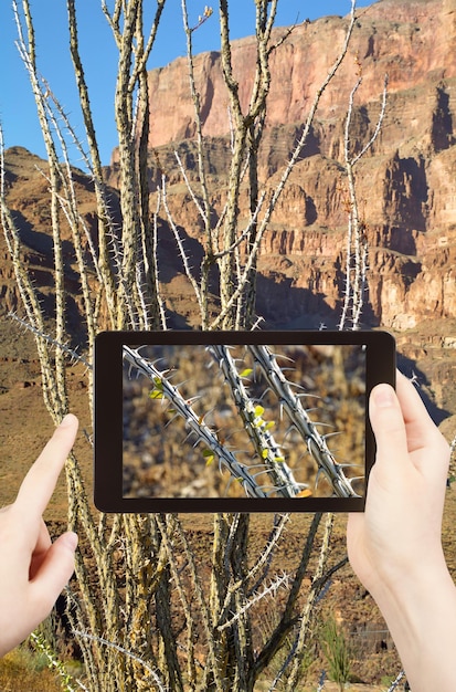 Close up shot of a camera's LCD screen displaying a high-resolution image with vibrant colors and sharp details. The image is of a landscape with mountains and a clear blue sky.