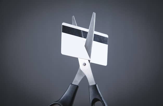 Store Credit Cards vs. Rewards Cards: Which Saves More?