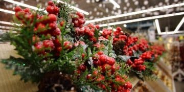 Budget Shopping: Maximize Post-Holiday Clearance Sales for Next Year - Cover Image
