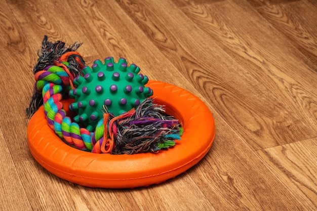 A close-up shot of various interactive dog toys, including puzzle toys and durable chew toys. The toys are colorful and engaging, with different textures.