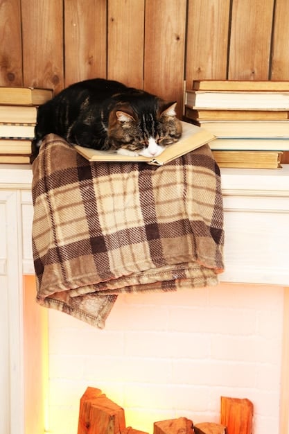 A cat sleeps peacefully on top of a heat pad, inside a cozy cat bed.