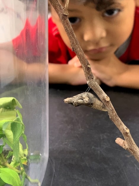 A close-up shot of a child excitedly playing with a newly unwrapped STEM (Science, Technology, Engineering, Mathematics) learning kit. Focus on the child's engaged expression and the details of the science experiment they're conducting.